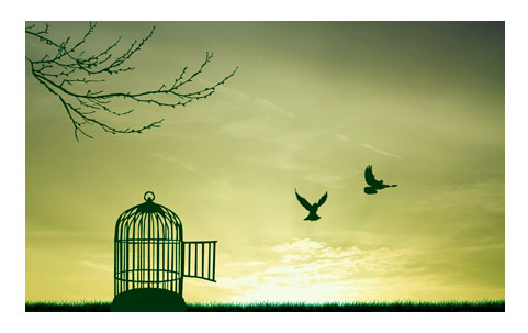 depositphotos_6277717-stock-photo-close-up-of-mens-rowing